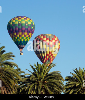 Ballons à air chaud ascendant sur les palmiers Banque D'Images