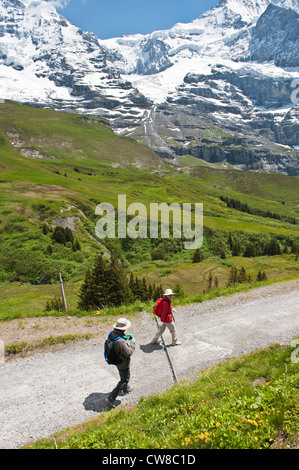 Région de la Jungfrau, Suisse. Randonnée sous le massif de la Jungfrau depuis Kleine Scheidegg, jungfraujoch Banque D'Images