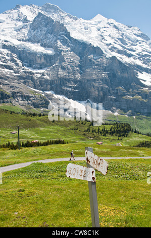 Région de la Jungfrau, Suisse. Randonnée sous le massif de la Jungfrau depuis Kleine Scheidegg, jungfraujoch Banque D'Images