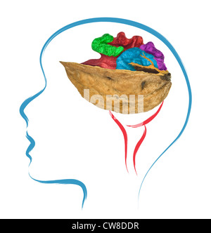 Le cerveau comme un noyer tête abstrait illustration Banque D'Images