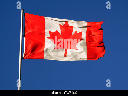 Photo symbole du drapeau national du Canada, dans le vent Banque D'Images