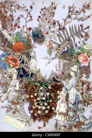 Herbier, illustration de la fin du xixe siècle Banque D'Images