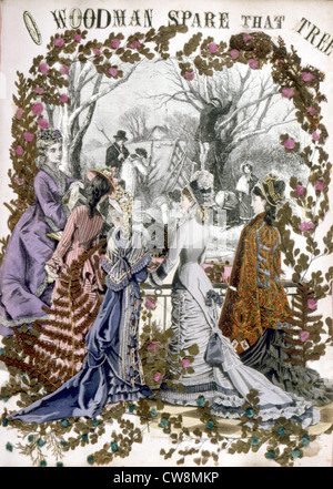 Herbier, illustration de la fin du xixe siècle Banque D'Images