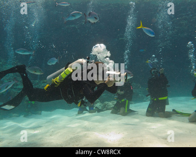 Diver prendre des photos sous l'eau avec d'autres plongeurs sur la Grande Barrière de corail en Australie Banque D'Images