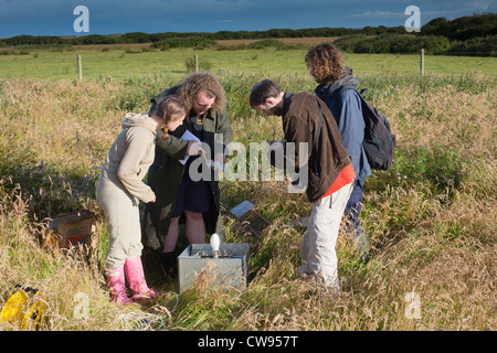 À la recherche à une espèce de piège ; Windmill Farm, Cornwall, UK Banque D'Images