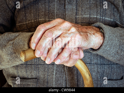 Mains arthritiques à maturité d'un homme âgé, avec gonflement des articulations, au repos sur un bâton de marche. UK Banque D'Images