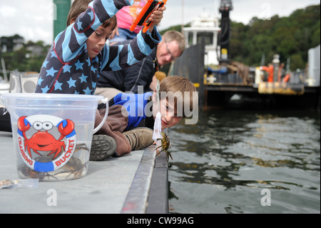 En crabe à Fowey Harbour à Cornwall, England, UK Banque D'Images