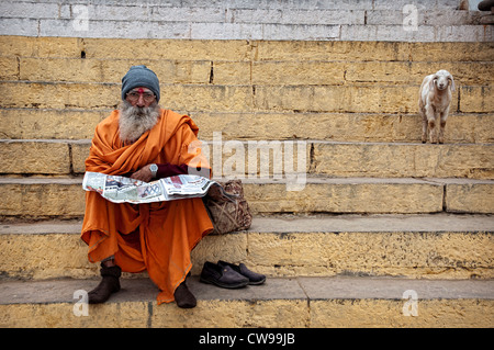 Sadhu assis sur un ghat tout en lisant le journal, un agneau à côté de lui. Varanasi, Inde Banque D'Images