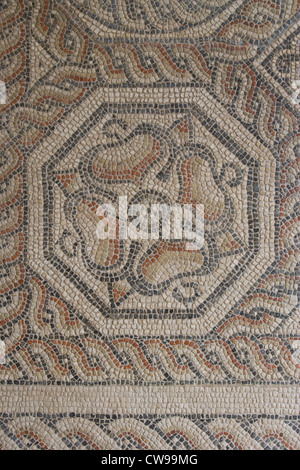 : Cirencester Corinium Museum - partie d'une mosaïque romaine Banque D'Images