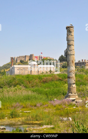 Vestiges de Temple d'Artemis d'Ephèse Kusadasi Turquie mer Egéé Mer Méditerranée Banque D'Images