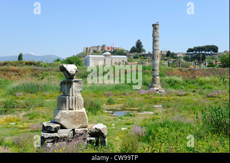 Vestiges de Temple d'Artemis d'Ephèse Kusadasi Turquie mer Egéé Mer Méditerranée Banque D'Images