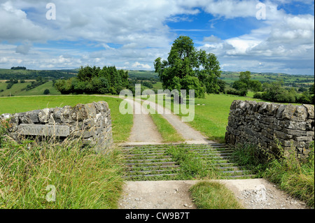 Une grille de bétail dans la campagne du Derbyshire, Angleterre Royaume-Uni Banque D'Images