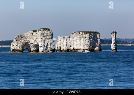 Old Harry rocks, Dorset Purbeck, UK Banque D'Images