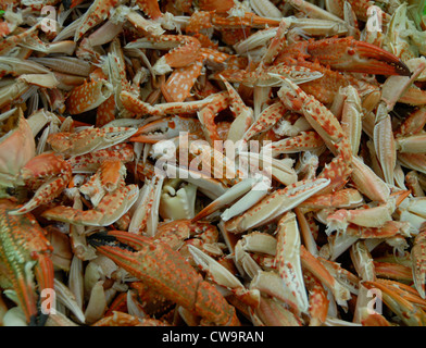 Pinces de crabe à la vapeur, de la viande et de nettoyage utilisés pour la salade et des omelettes,style thai Bangkok, Thaïlande Banque D'Images