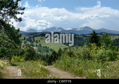 Vue de la ligne de partage à partir d'un quatre-roues motrices road dans l'est du comté de Gilpin, Colorado Banque D'Images