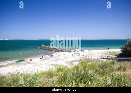 Plage de sable fin et Botany Bay, Drummoyne, Sydney, NSW, Australie Banque D'Images