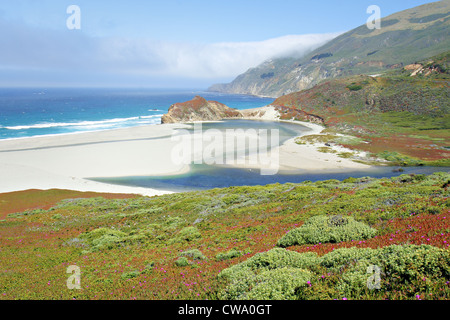 Vaste plage de sable fin bordée de végétation colorée et les collines. Banque D'Images