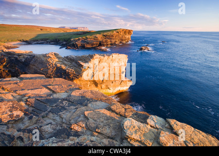 Yesnaby, Orkney, Scotland, UK. Banque D'Images