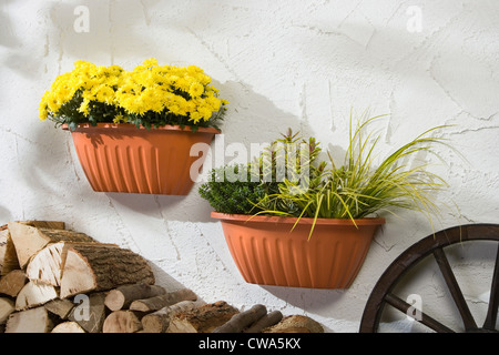 Riedlingen, pots sur un mur de la maison Banque D'Images