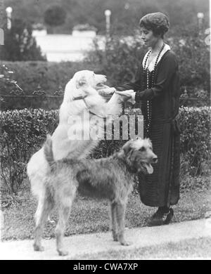 La Première Dame Grace Coolidge (1879-1957), photo ici sur la pelouse de la Maison Blanche avec les chiens de compagnie, comme elle a repris ses fonctions publiques Banque D'Images