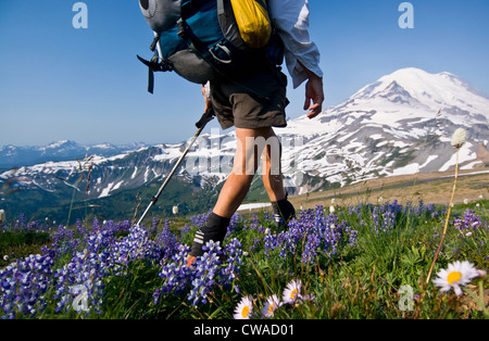 Femme backpacker sur Cowlitz Divide, Mount Rainier National Park, Washington, USA Banque D'Images