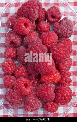 Framboises Banque D'Images