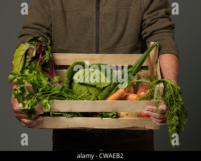 Homme tenant des caisses en bois de légumes Banque D'Images