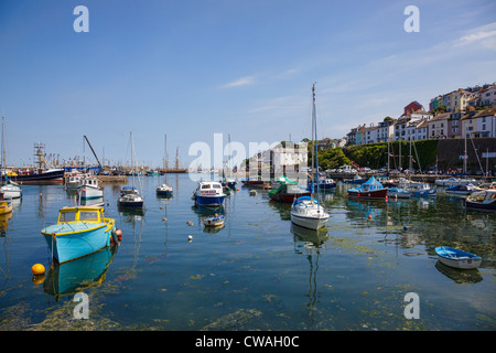 Avis de Brixham Harbour Banque D'Images