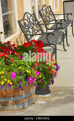 Black metal fer bancs de jardin sur terrasse avec semoir de fleurs Banque D'Images