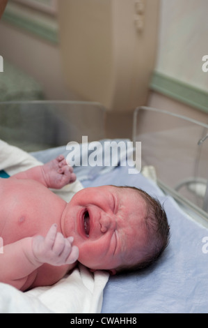 Naissance bebe Fille pleurer Banque D'Images