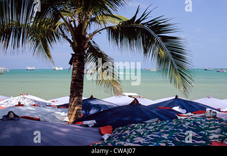 Bangkok, palm domine les parasols sur la plage de Pattaya Banque D'Images