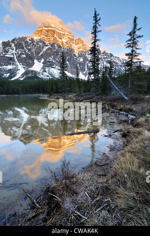 Le Lac de la sauvagine inférieur et le Mont Chephren, Banff National Park, Alberta, Canada Banque D'Images