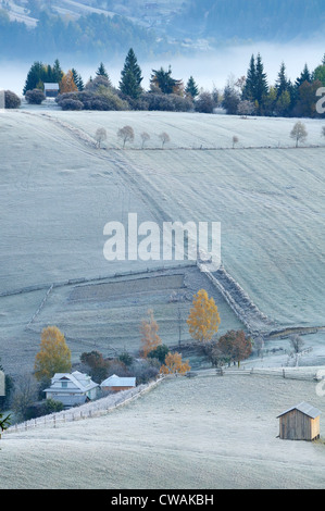 Matin brumeux, Krasnik village, Carpates, région d'Ivano-Frankivsk, Ukraine Banque D'Images