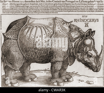 Le rhinocéros, gravure sur bois par Albrecht durer, (1471-1528), tirées de la description d'un rhinocéros indien. Bien qu'imprécise, Banque D'Images