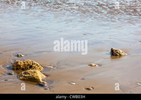 Cailloux, roches sur la plage à faire des modèles attrayants Seaham à marée basse, dans le comté de Durham, Royaume-Uni Banque D'Images