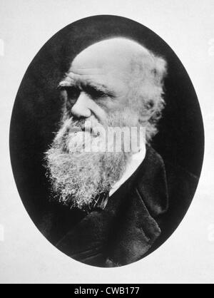 Charles Darwin (1809-1882), photo ca. 1880 Banque D'Images