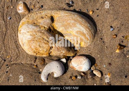 Cailloux, roches sur la plage à faire des modèles attrayants Seaham à marée basse, dans le comté de Durham, Royaume-Uni Banque D'Images