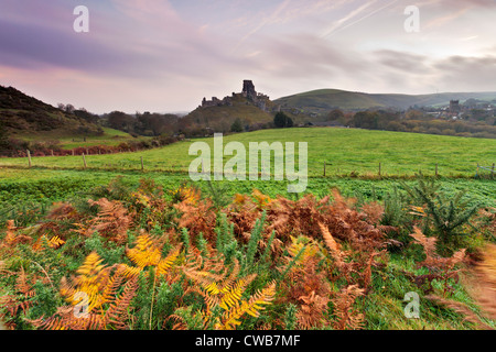 Vue sur château de Corfe à travers champs environnants avec des fougères dans la brise Banque D'Images