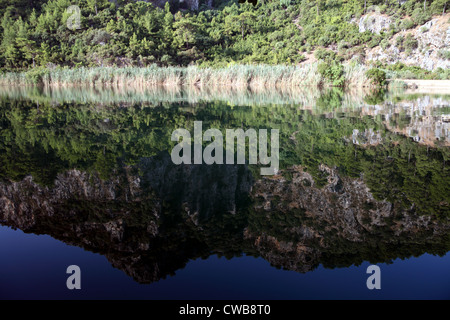 Vue paysage de rivière près de Dalyan Turquie montrant clair reflet dans l'eau et les roseaux au bord de rivière Banque D'Images