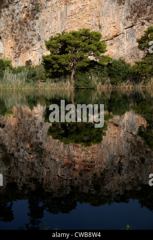 Vue verticale de berges paysage près de Dalyan Turquie montrant clair reflet dans l'eau Banque D'Images