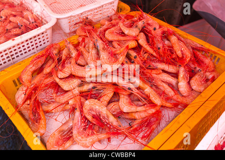 Crevettes fraîches à vendre à quai à Steveston, un village de pêcheurs historique au sud de Vancouver, BC, Canada. Banque D'Images