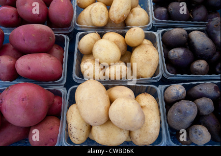 Eastern Shore Virginia pommes de terre à un marché de producteurs Banque D'Images