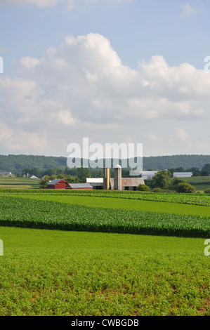 Amish farm, comté de Lancaster, Pennsylvanie, USA Banque D'Images