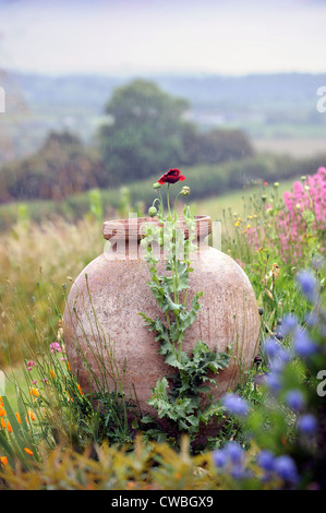 Une urne en terre cuite dans un pré entouré de terres agricoles jardin style UK Banque D'Images