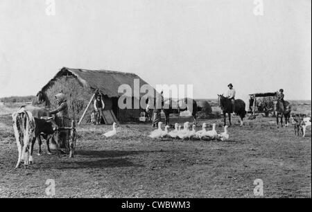 Accueil de l'immigrant de la construction primitive dans l'Argentine rurale, avec des hommes, des femmes et des enfants en face de la maison, avec les chevaux, Banque D'Images