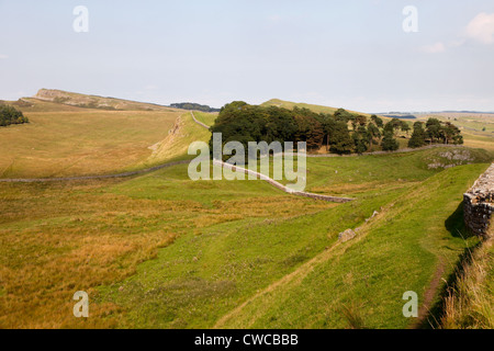 Vue depuis le Fort de Housesteads le long mur d'Hadrien, Northumberland, Angleterre Banque D'Images