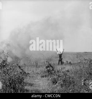 Guerre du Vietnam. Soldat de l'armée américaine dirige un hélicoptère pour récupérer les soldats blessés après une descente en parachute dans le Sud Vietnam. Oct. Banque D'Images