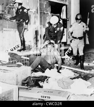 Faites glisser la police de Los Angeles la jeunesse noire d'un magasin pillé. Le 13 août 1965. Banque D'Images