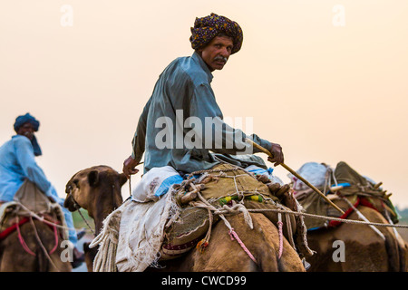 Caravane de chameaux dans la province du Pendjab, au Pakistan Banque D'Images