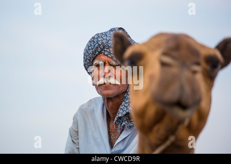 Caravane de chameaux dans la province du Pendjab, au Pakistan Banque D'Images